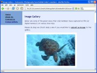 تغییرات فرمت عکس به وسیله CSS